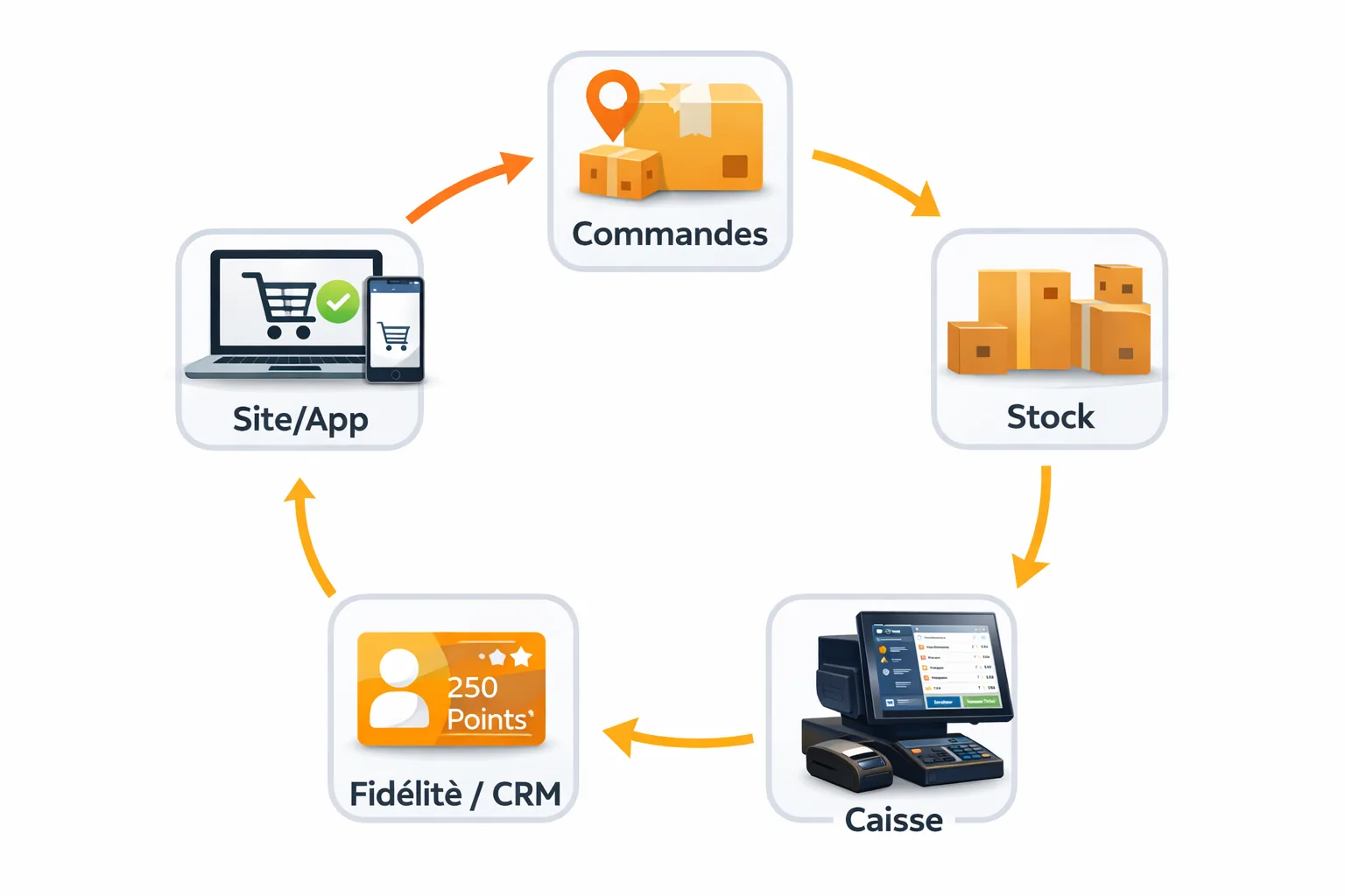 Schéma de flux entre boutique physique, commandes web, stock et fidélité